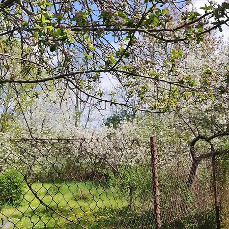 Lägenhet Apartament 