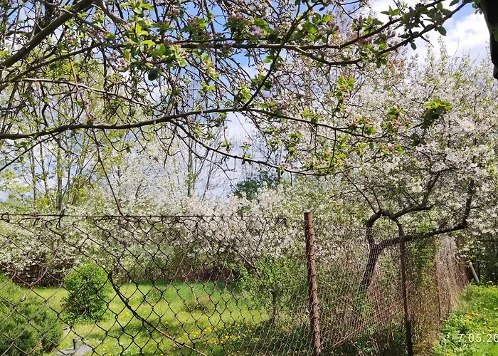 Lägenhet Apartament 