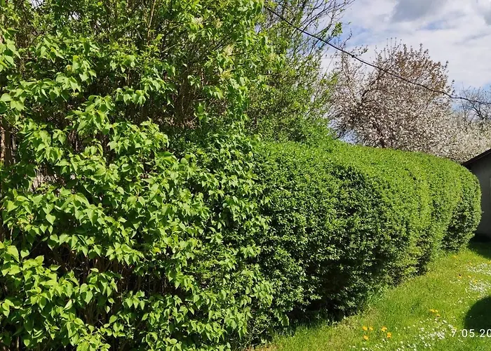 Lägenhet Apartament 